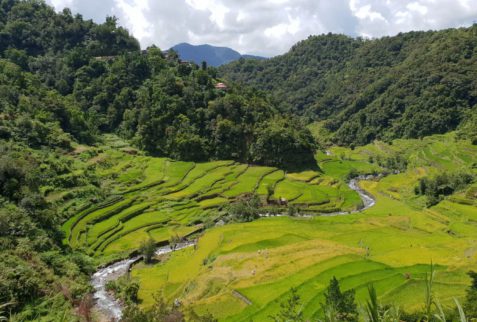 Arrozales de Banaue