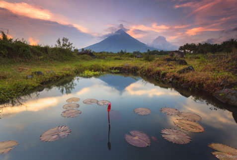 Guía de Bicol volcan Mayon