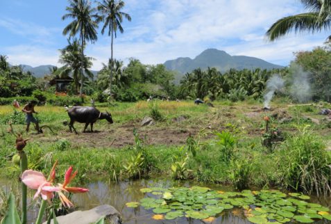 Guia de Camiguin con Woola Filipinas