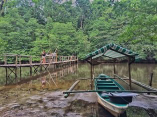 Visita Manglares Puerto Princesa Sabang