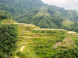 Guía de los arrozales de Banaue