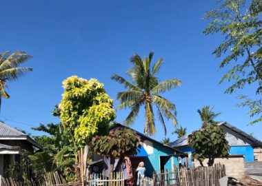 Casa locales de la isla de Malapascua