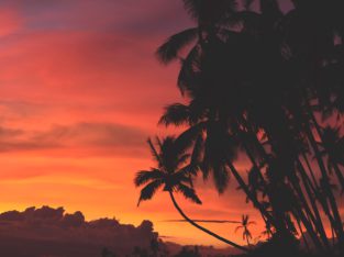Descubre que hacer en Siquijor
