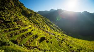 Clima en Filipinas ¿Cuál es la mejor época para ver los arrozales de Banaue??