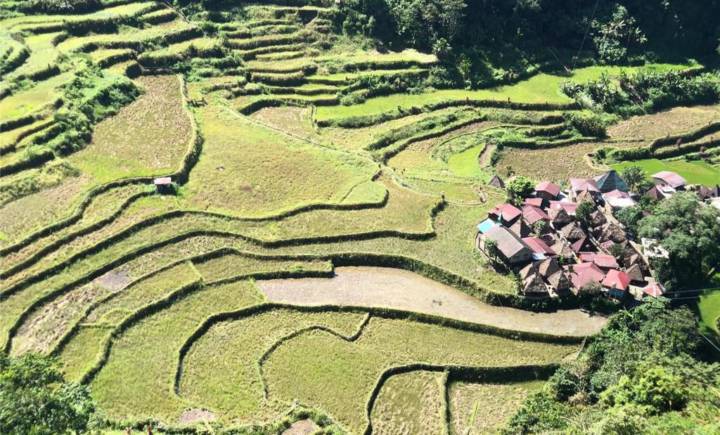 Terrazas de arroz de Filipinas