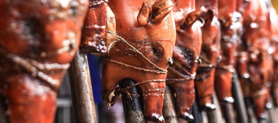 Cerdos cocinados estilo lechon