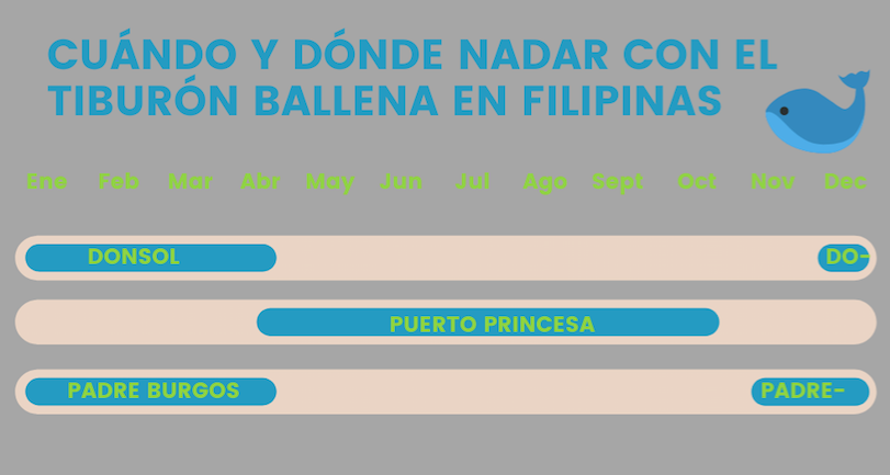 cuando nadar con el tiburón ballena en Filipinas